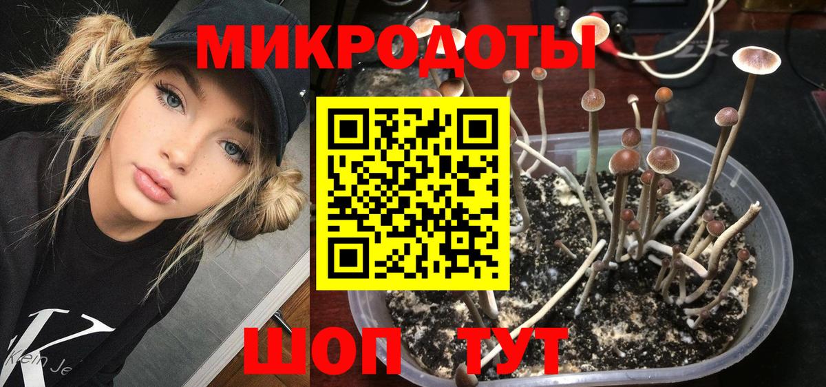 Галлюциногенные грибы мицелий  Псилоцибиновые грибы Magic Shrooms  Вход с VPN  Томск 