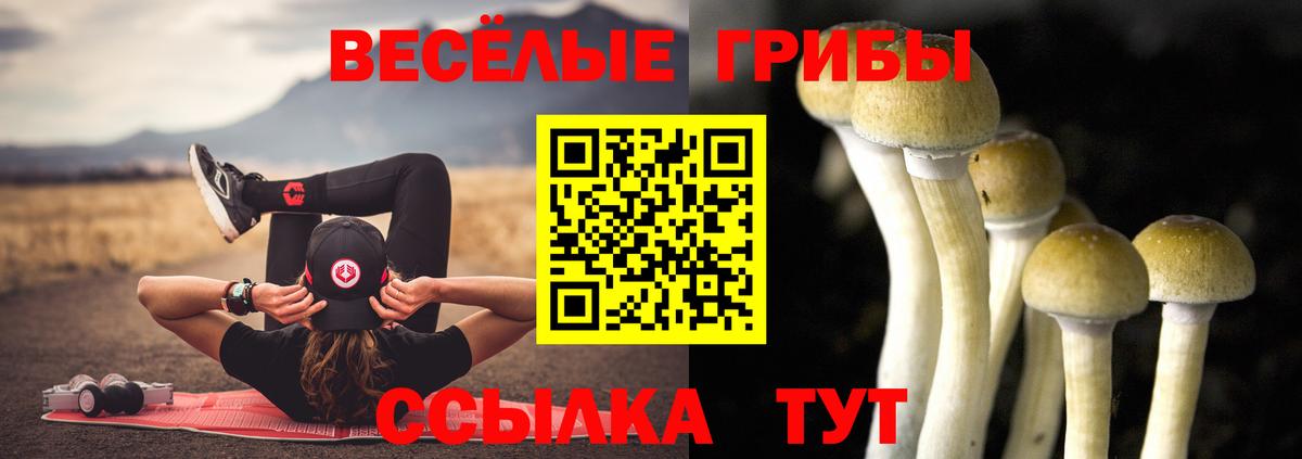 Псилоцибиновые грибы MAGIC MUSHROOMS Томск